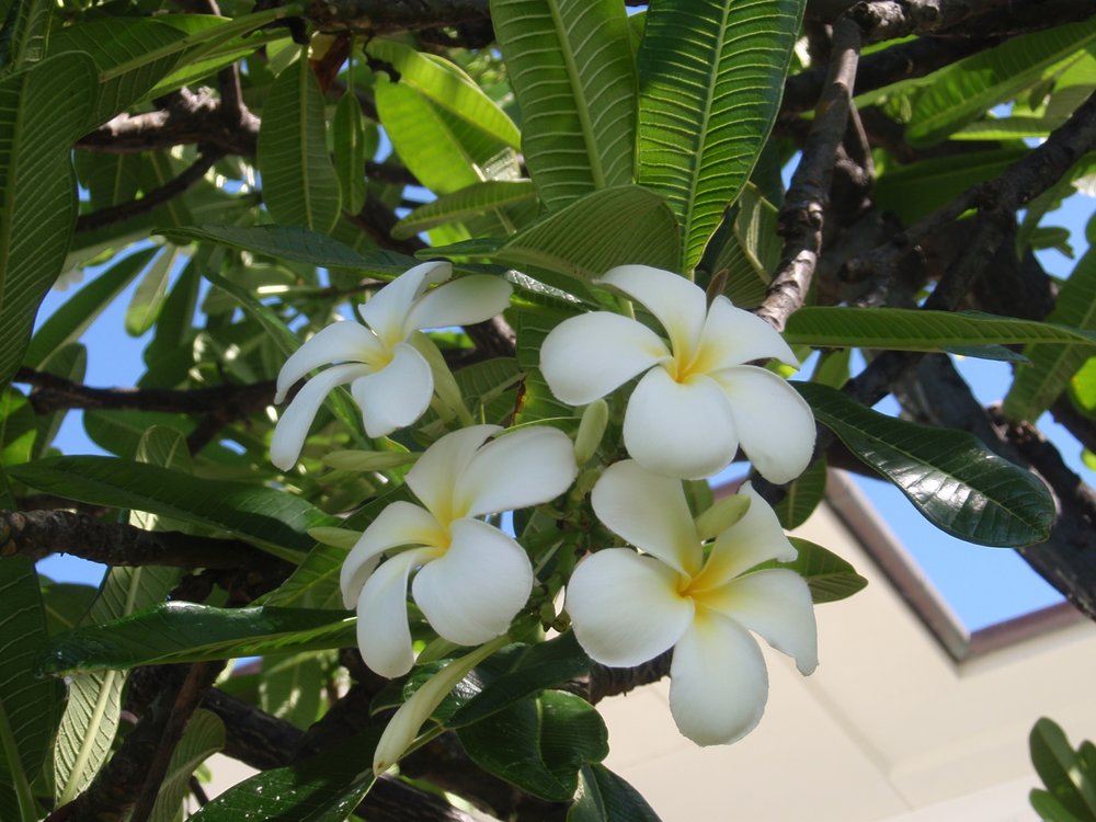 Carole M.'s profile image