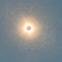 Brandon Dillion's profile image