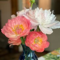 Christina Fugitt-Griffiths's profile image