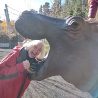 Joyce Donaldson's profile image
