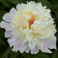 Martha George's profile image