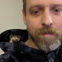 Michael Sennett's profile image