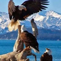 Kim Woll's profile image