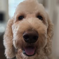 Heikki Ritvanen's profile image
