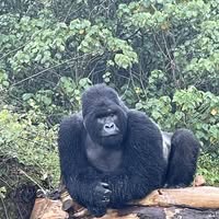 Jim Boteler's profile image