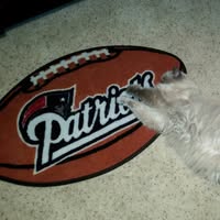 Henry Duncan's profile image