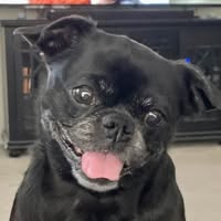 Mickey Buell's profile image