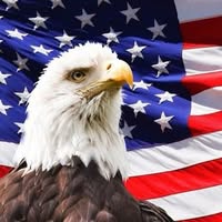 Rob Olthouse's profile image