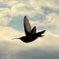 Cheryl Creech Mason's profile image