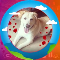 Valera Parham Klugh Hicks's profile image