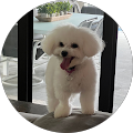 Jack Southard's Profile Image