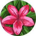 Barbara Larson's Profile Image