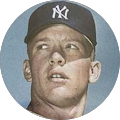 Stephen Centazzo's Profile Image