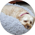 Linda Lehrer's Profile Image
