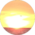 Mayra Gonzalez's Profile Image