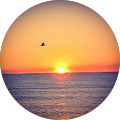 James Streu's Profile Image