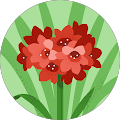 Trudy Palumbo-Sayegh's Profile Image