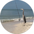 William P's Profile Image