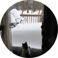 Kevin G. Walsh's Profile Image