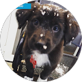 Michele Perillo's Profile Image