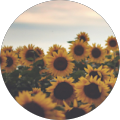 Sofia Aristizabal's Profile Image