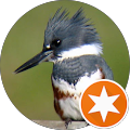 Amy Hughes's Profile Image