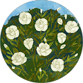 Susan Vetter's Profile Image
