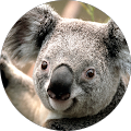 Mark Kuhnke's Profile Image