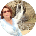 Phylis Schmitt's Profile Image