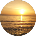 Gabriella Rawson's Profile Image