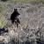 Marian Pott Pollock's profile image