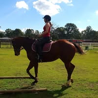 Jennifer Gunter's profile image