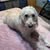 Carol Hanrahan's profile image