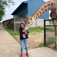 Mariah Shepherd's profile image