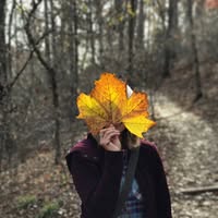Bethany Edwards's profile image