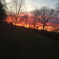 Harlene McCreery-Davis's profile image