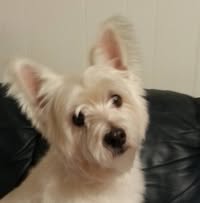 Janet Poff's profile image