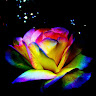 Ella's profile image