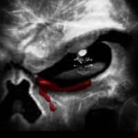 Andres Rojo's profile image