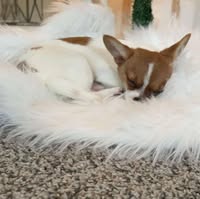 Bonnie Edgerly's profile image