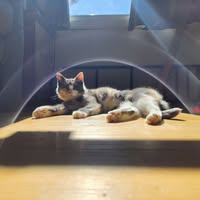 Emily Marie Miller's profile image