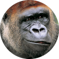 Jason Tucker's Profile Image