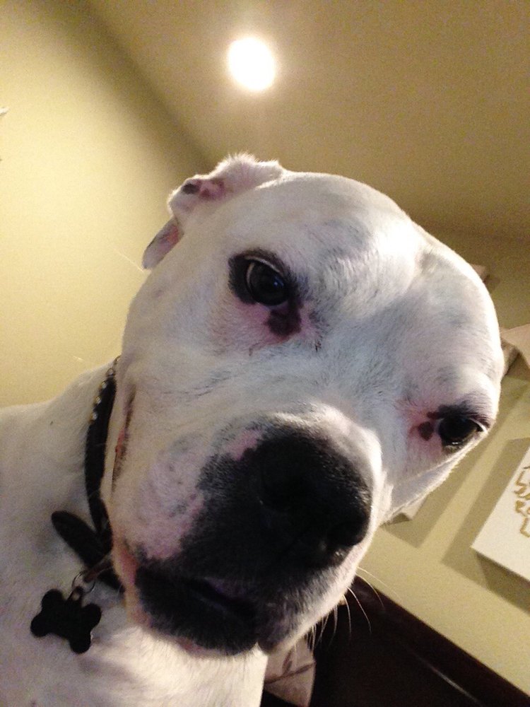 Billy T.'s profile image