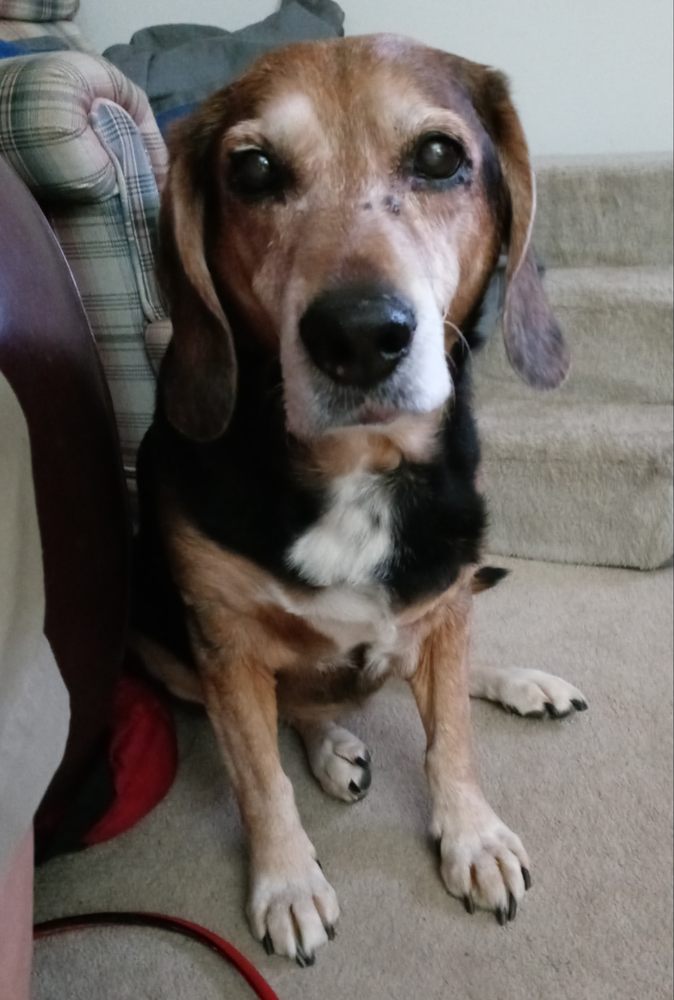 Jessica L.'s profile image