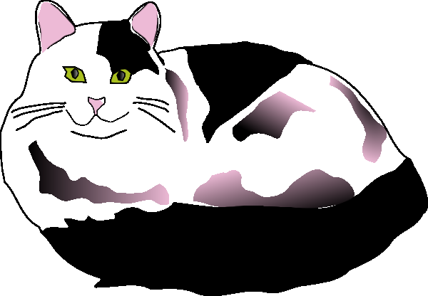Kitty C.'s profile image