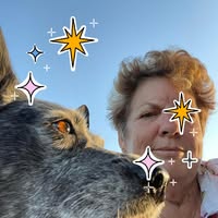 Kim Rasmussen's profile image