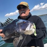 Terry Manley's profile image