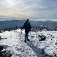Stacy Albach's profile image