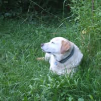 Tammy Snyder's profile image