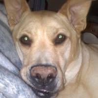 Craig Ghio's profile image